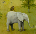 particolare dell’elefante