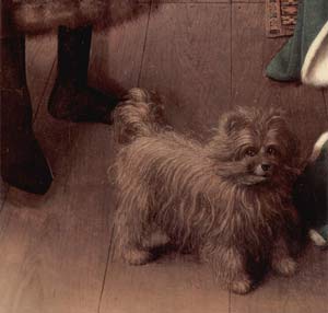 Dettaglio del cagnolino nel dipinto Ritratto dei coniugi Arnolfini di Jan Van Eyck