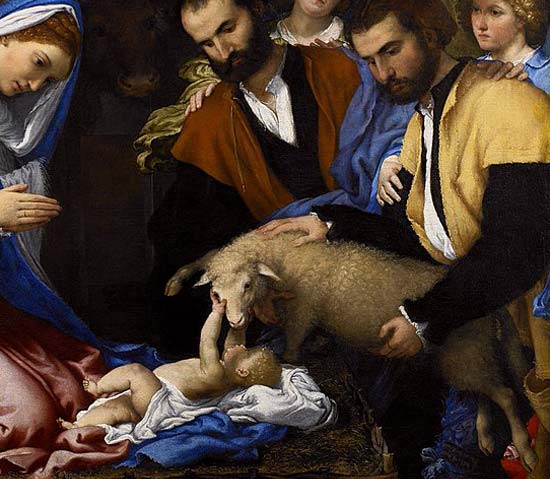 particolare agnello nel dipinto Adorazione dei pastori di Lorenzo Lotto