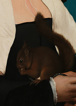 Dama con scoiattolo e storno (particolare dello scoiattolo) di Hans Holbein il Giovane