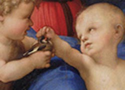 Particolare dipinto di Raffaello dal titolo Madonna del Cardellino