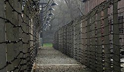 recinzioni nel lager