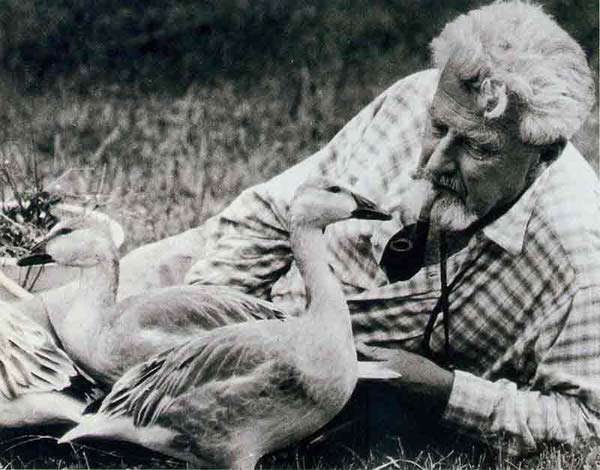 fotografia di Lorenz con le sue ochette